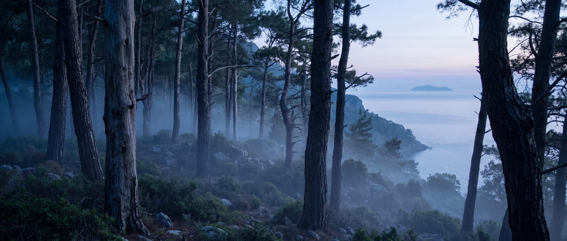 Ancient Aegean pine forest on a coastal Greek headland at dawn, cool mist between the trunks, sea glimpsed through the trees